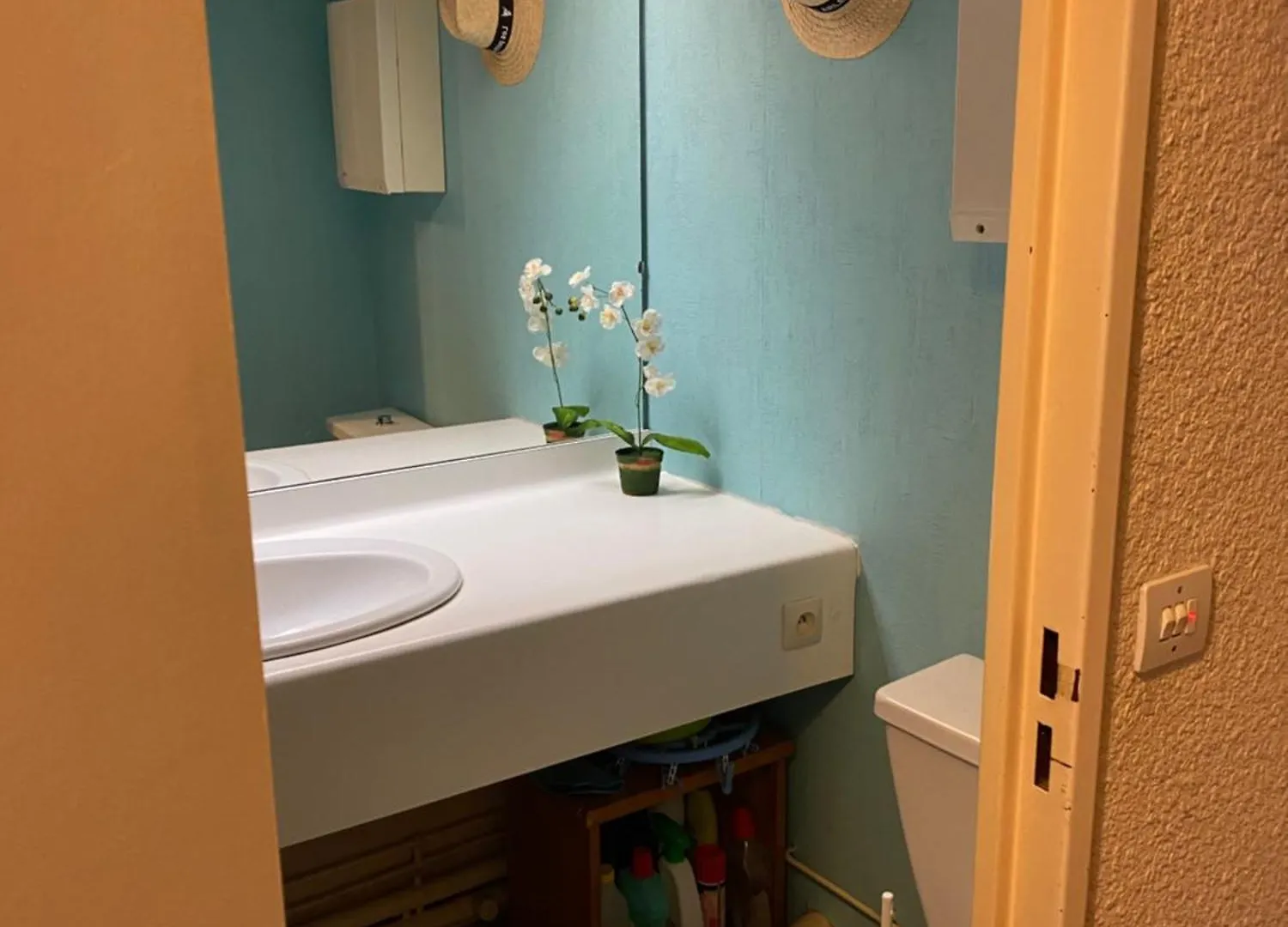 Apartment Jolie Appartement 4 Couchages Puy-Saint-Vincent
